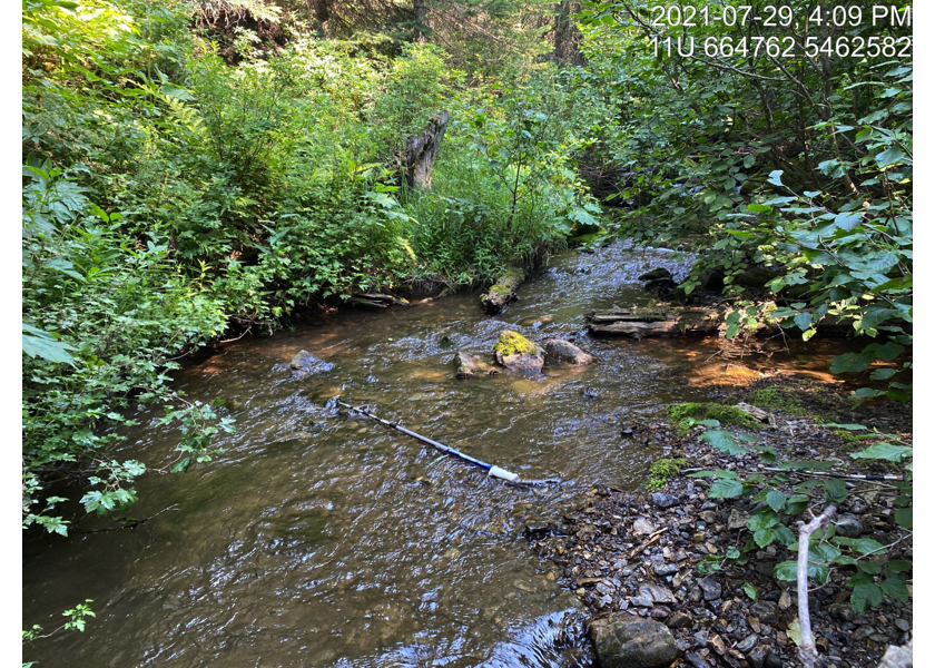 Typical habitat downstream of PSCIS crossing 197787.