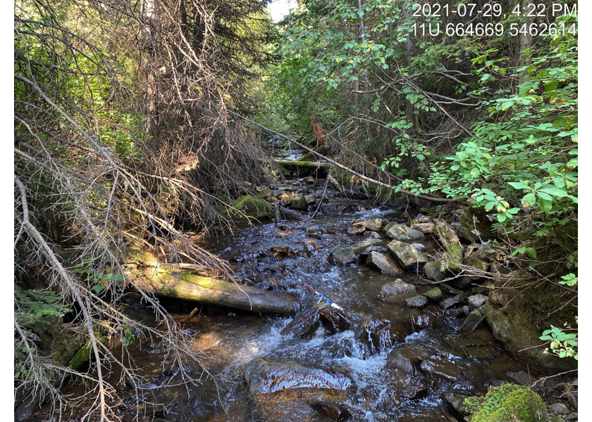 Typical habitat downstream of PSCIS crossing 197786.