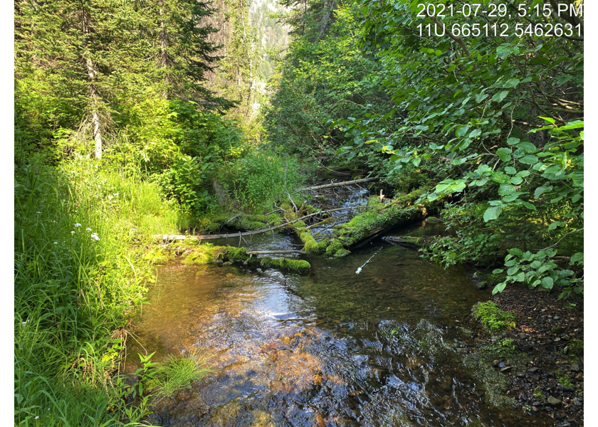 Typical habitat upstream of PSCIS crossing 197787.