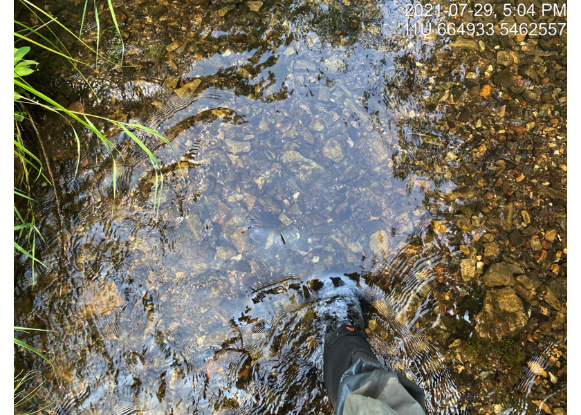 Gravels suitable for spawning located upstream of PSCIS crossing 197787.