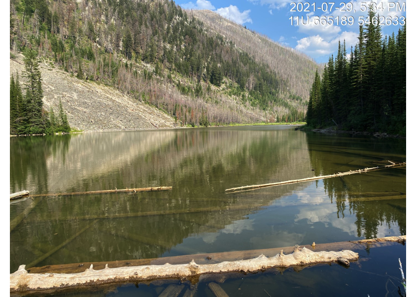 Lodgepole Lake located upstream of PSCIS crossing 197787.