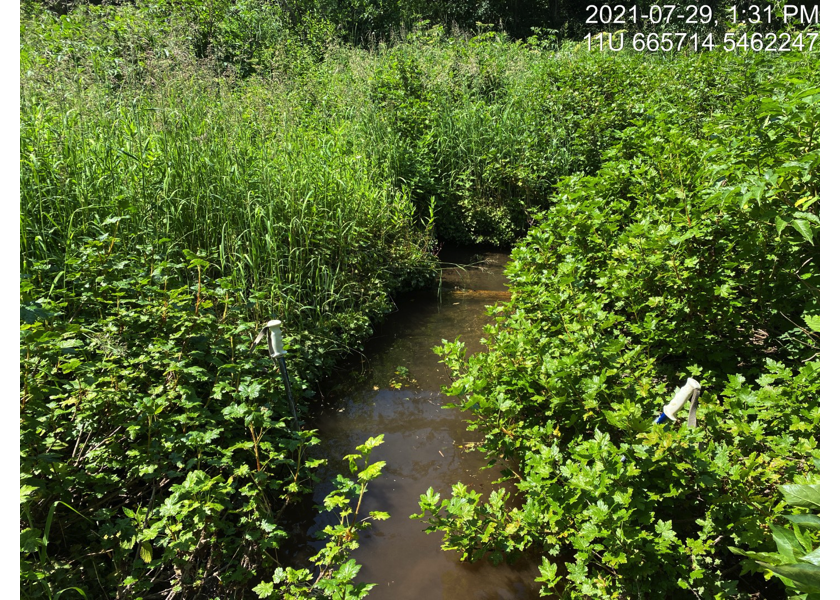 Habitat downstream of PSCIS crossing 197786.