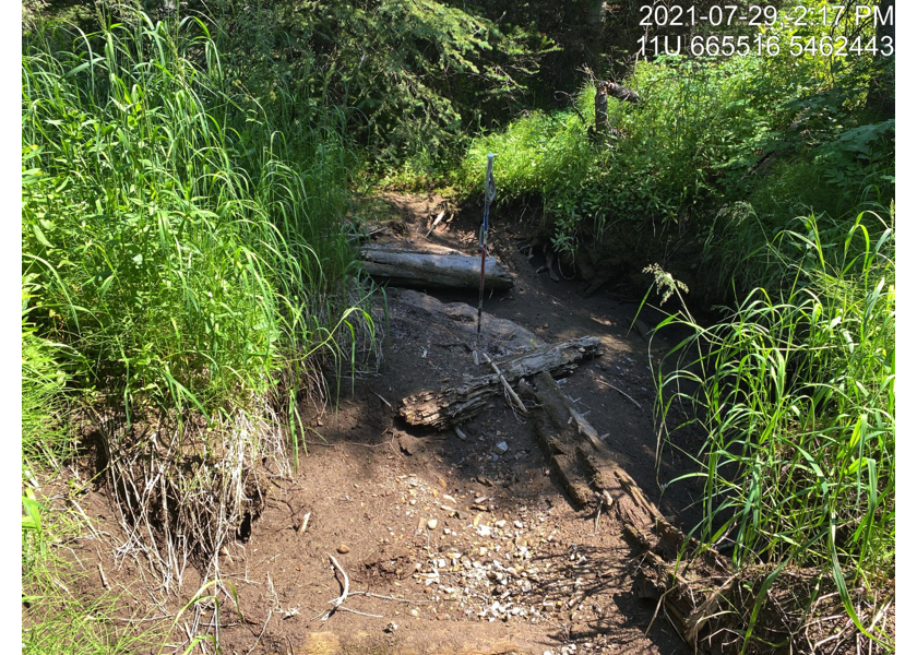 Dewatered habitat downstream of PSCIS crossing 197786.