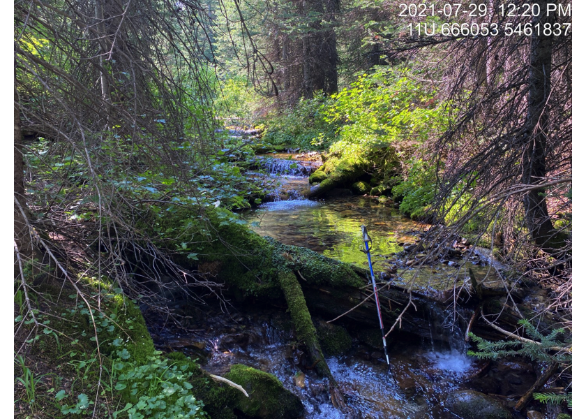 Typical habitat upstream of PSCIS crossing 197786.