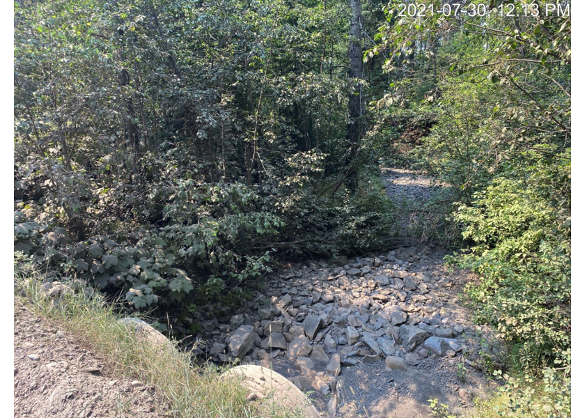 Habitat downstream of crossing 197793.