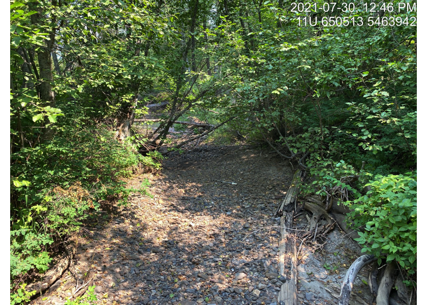 Habitat upstream of PSCIS crossing 197793.