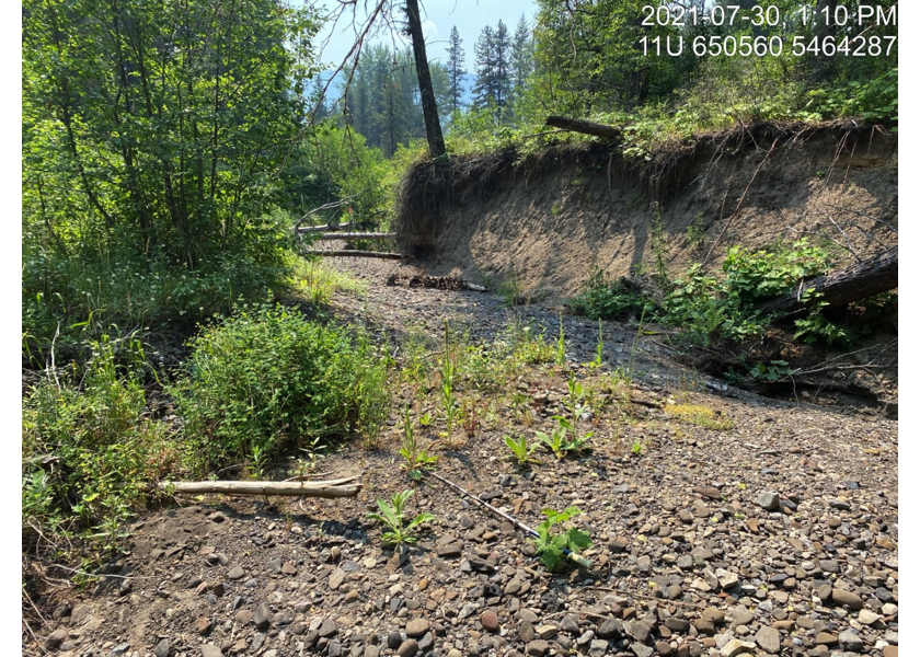 Habitat upstream of PSCIS crossing 197793.