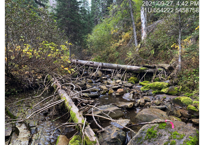 Typical habitat downstream of PSCIS crossing 197796.