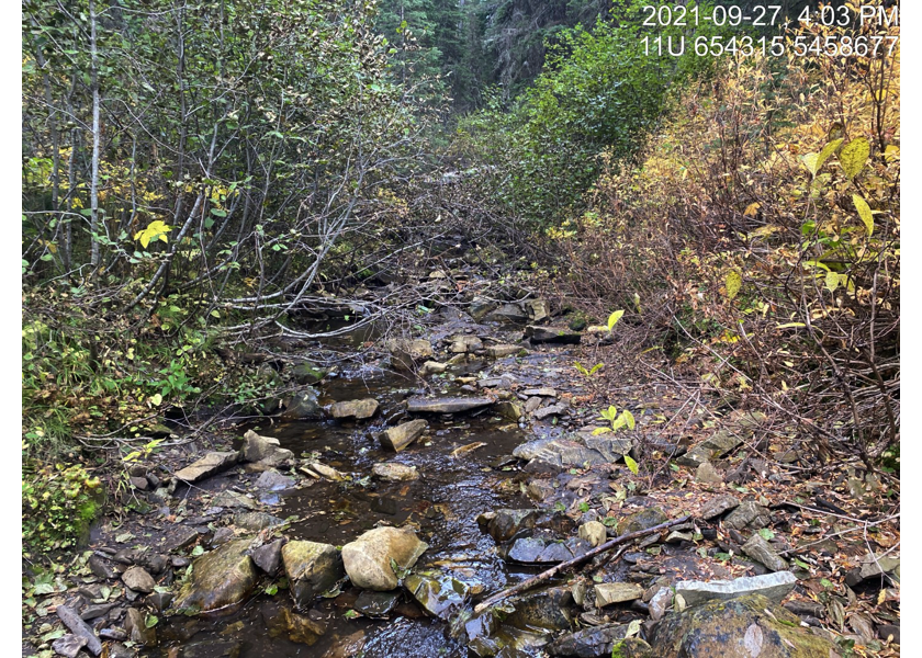 Habitat upstream of PSCIS crossing 197796.