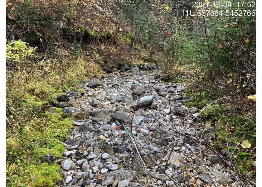 Habitat downstream of crossing 197844.