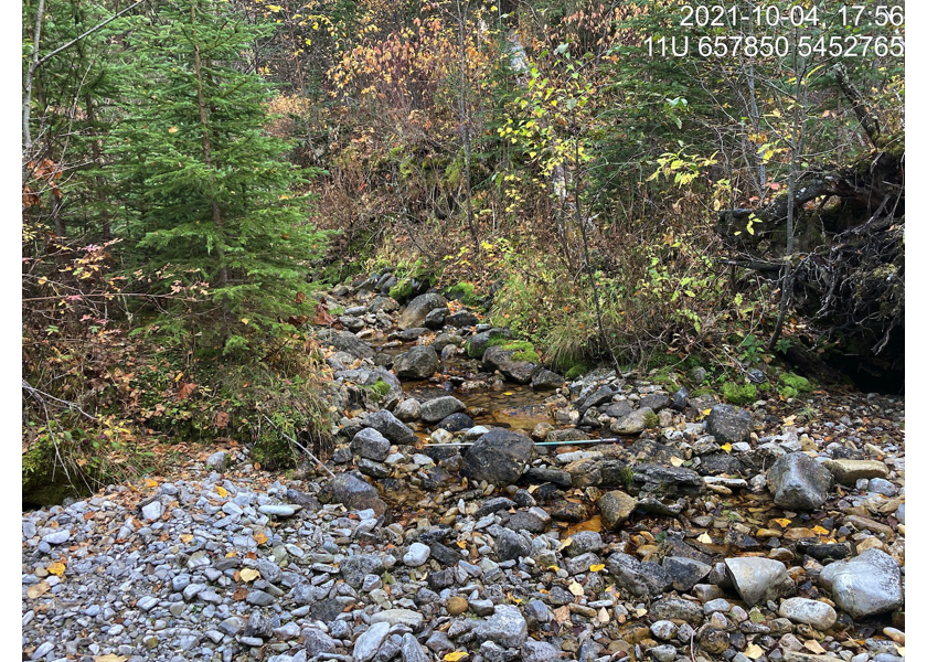 Habitat downstream of crossing 197844.