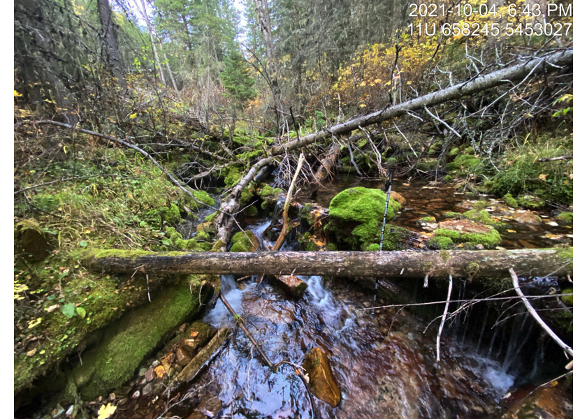 Habitat upstream of PSCIS crossing 197844.