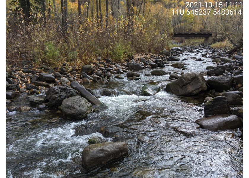 Typical habitat downstream of PSCIS crossing 61504.