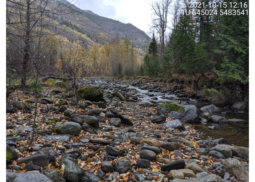 Typical habitat downstream of PSCIS crossing 61504.