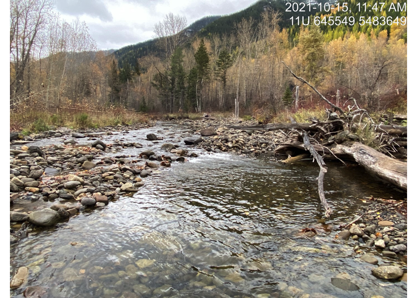 Typical habitat upstream of PSCIS crossing 61504.