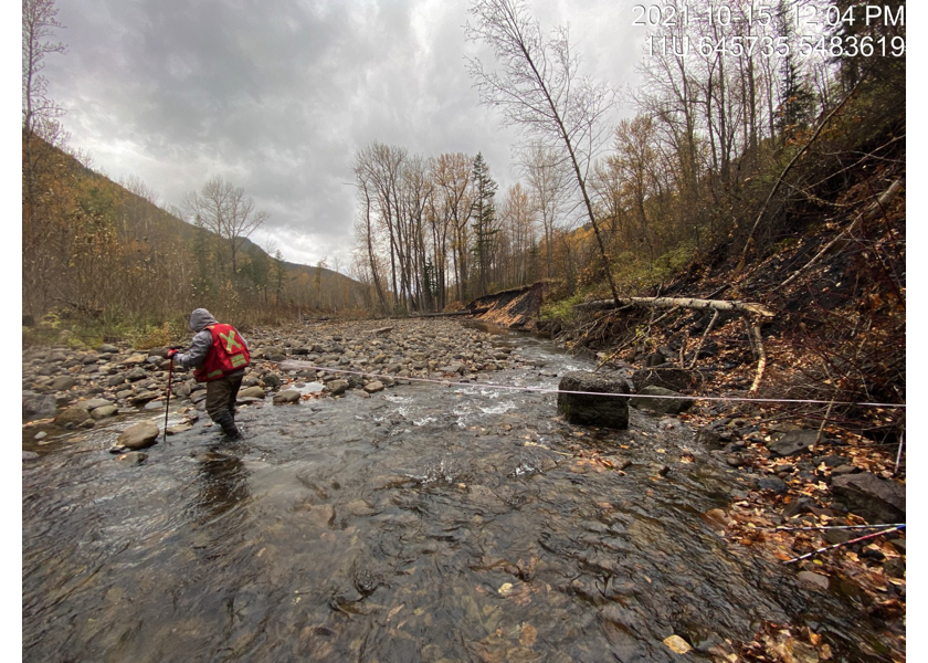 Typical habitat upstream of PSCIS crossing 61504.