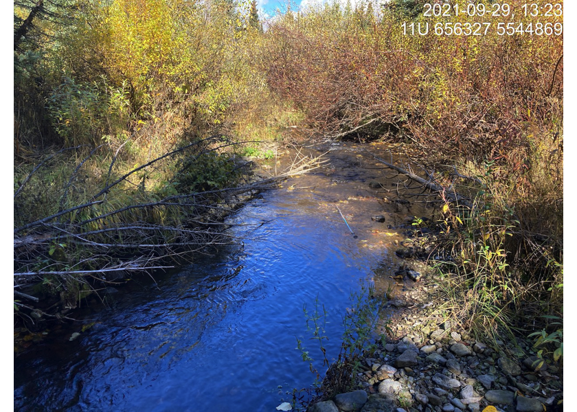 Typical habitat downstream of PSCIS crossing 62182.