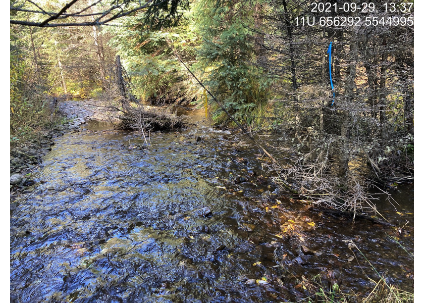 Typical habitat downstream of PSCIS crossing 62182.