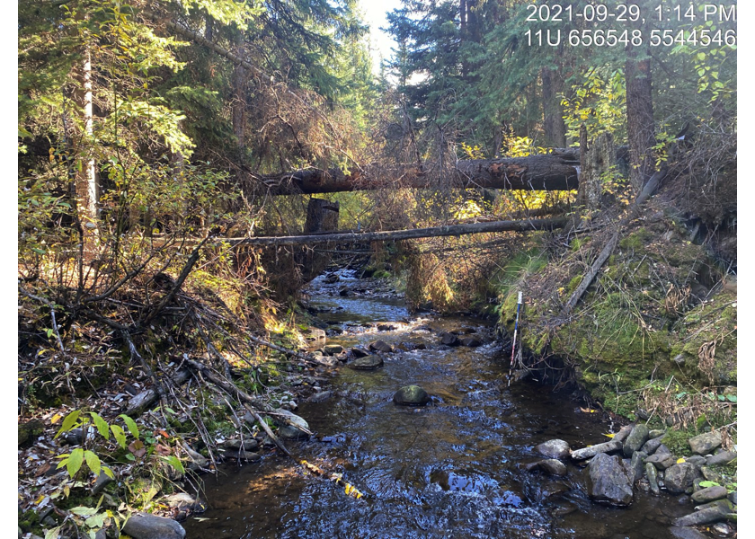 Typical habitat upstream of PSCIS crossing 62181.