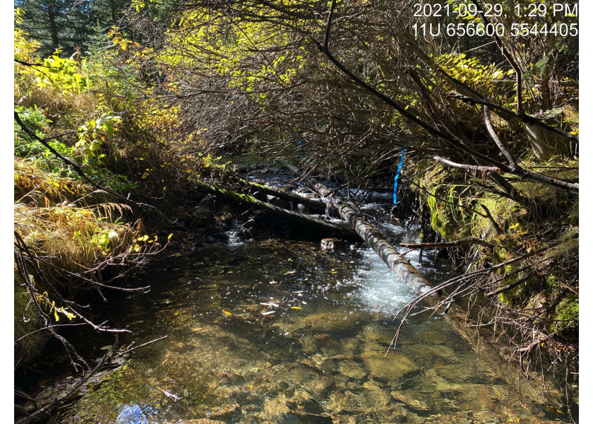 Typical habitat upstream of PSCIS crossing 62181.