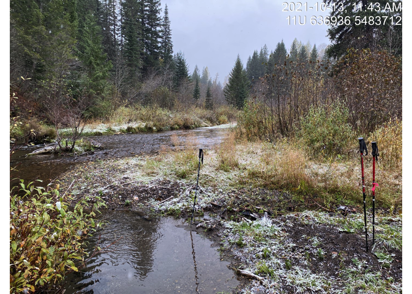 Confluence with Lizard Creek located ~70m downstream of crossing 62505.