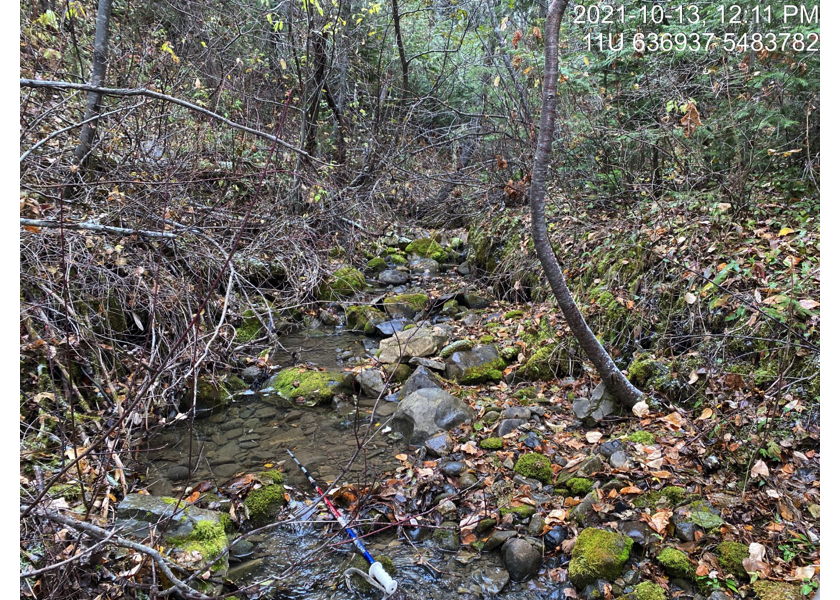 Habitat upstream of PSCIS crossing 62505.