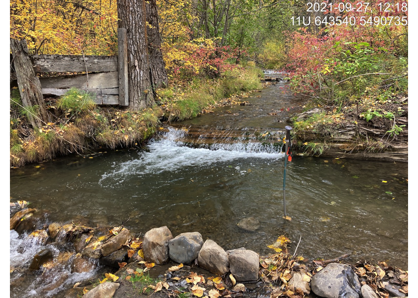 Small dam ~7m upstream of PSCIS crossing 197542 on Hartley Creek.