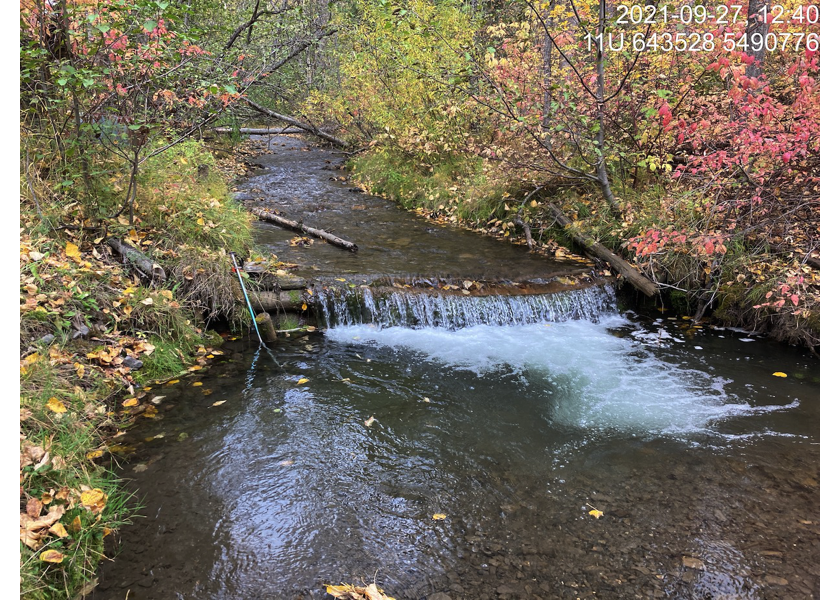 Small dam ~20m upstream of PSCIS crossing 197542 on Hartley Creek.