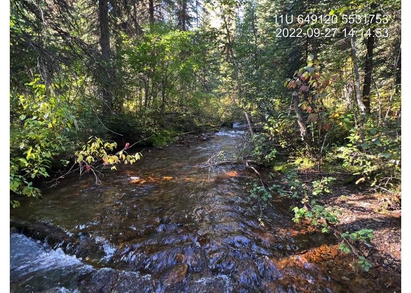 Typical habitat upstream of PSCIS crossing 197534 , in Reach 2 of Weigert Creek.