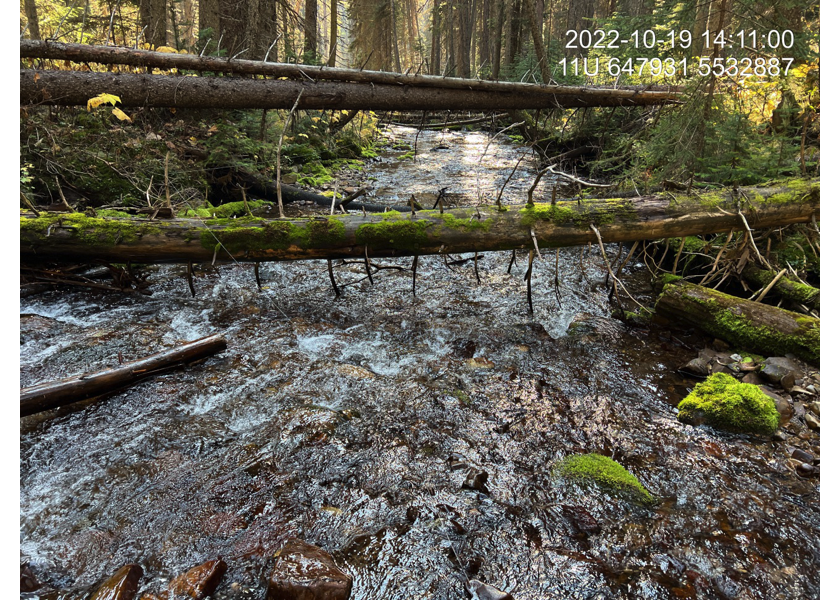 Typical habitat upstream of PSCIS crossing 197534 in Reach 3 of Weigert Creek.