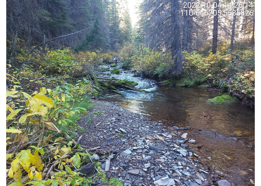 Typical habitat upstream of PSCIS crossing 197534 in Reach 4 of Weigert Creek.