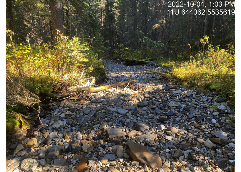 Typical habitat upstream of PSCIS crossing 197534 in reach 5.