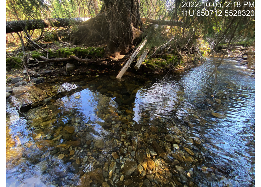 Typical habitat upstream of PSCIS crossing 197559, within first electrofishing site on Brule Creek.