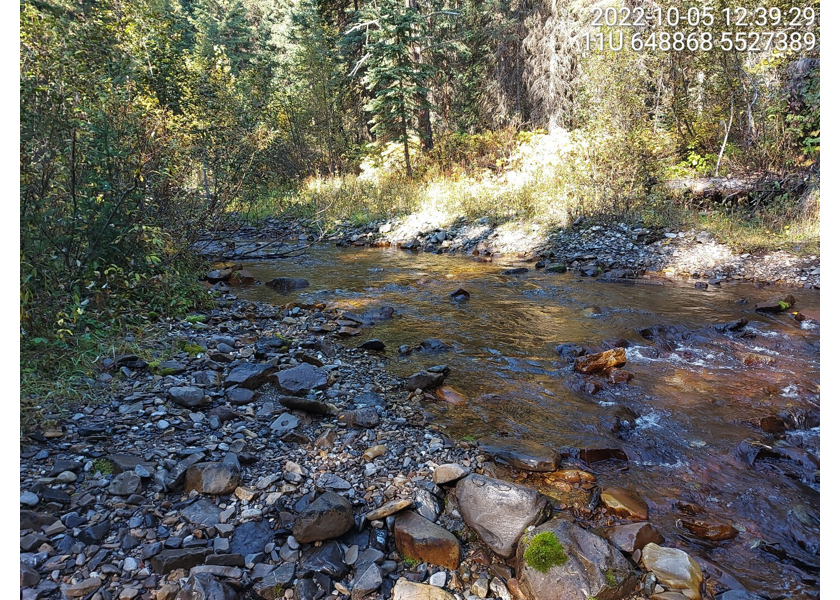 Typical habitat upstream of PSCIS crossing 197559, within second electrofishing site on Brule Creek