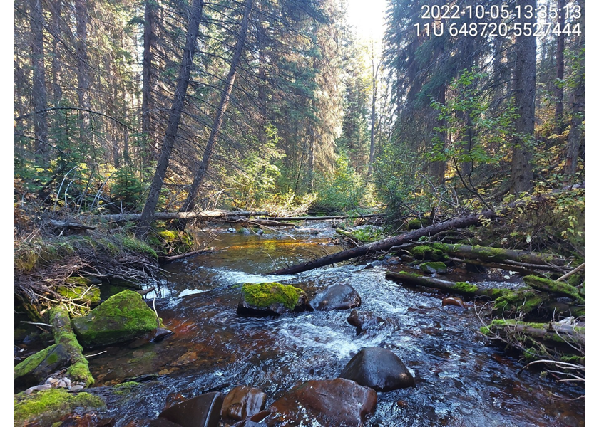 Habitat immediately downstream of 7.5m high waterfall on Brule Creek approximatley 3.6km upstream of Highway 43.