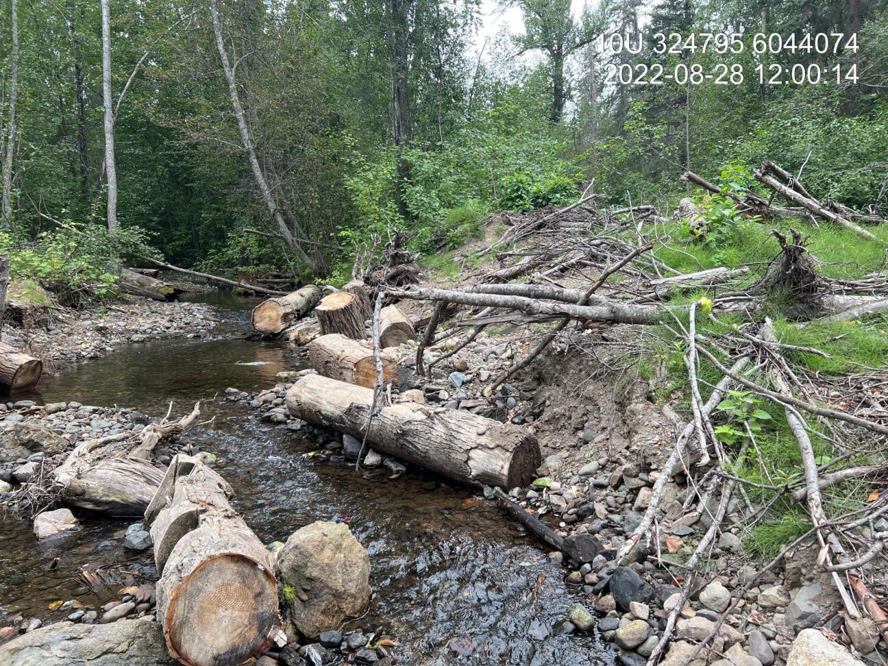 Habitat immediately upstream of PSCIS crossing 198283 in Cross Creek.