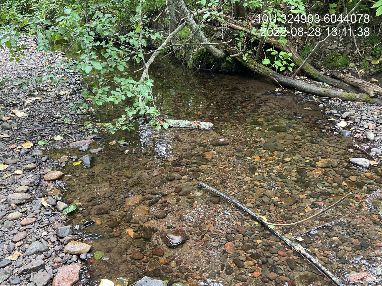 Typical habitat downstream of PSCIS crossing 198283in Cross Creek showing high value spawning gravels.