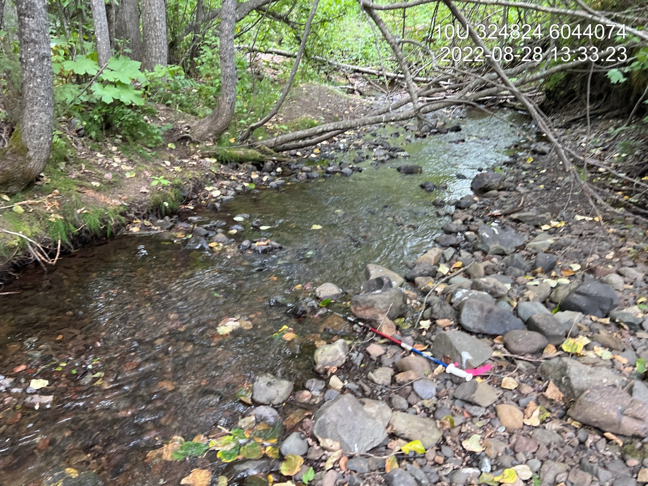 Typical habitat downstream of PSCIS crossing 198283 in Cross Creek.