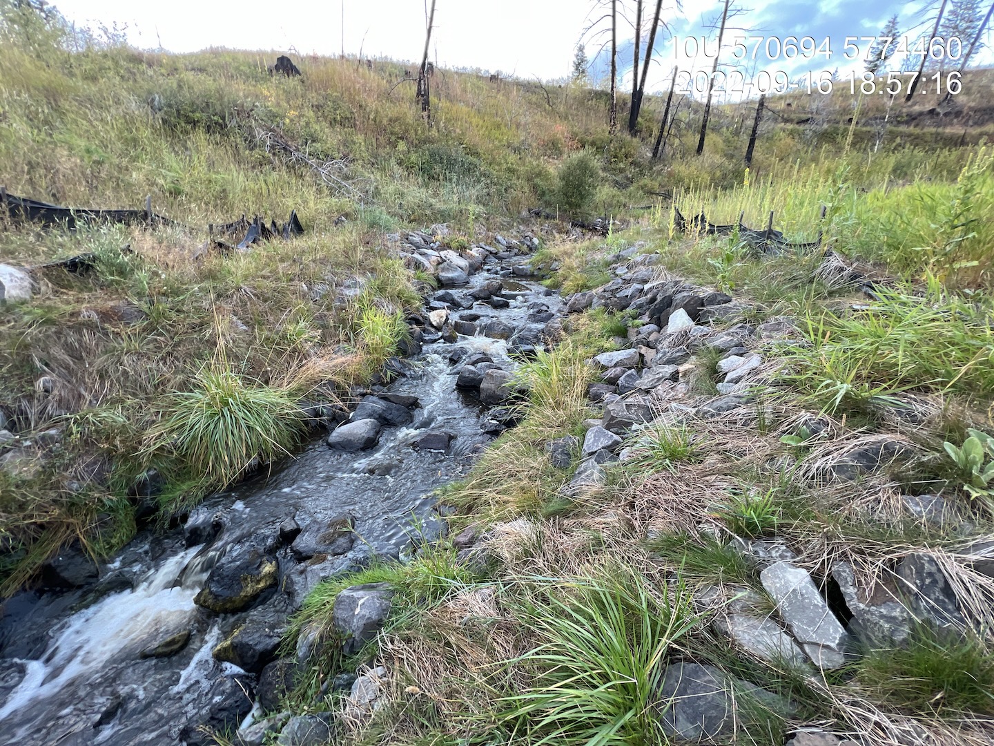 Habitat within construction footprint upstream of PSCIS crossing 198400 in Five Mile Creek.