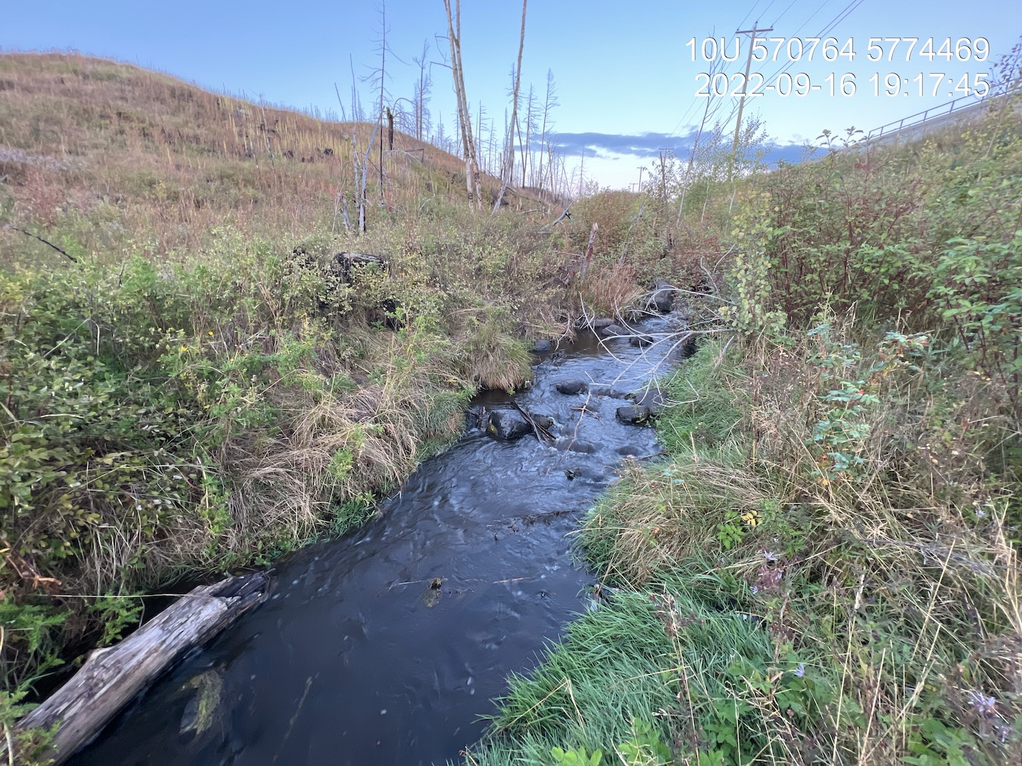 Habitat upstream of construction footprint adjacent to crossing 198400 in Five Mile Creek.