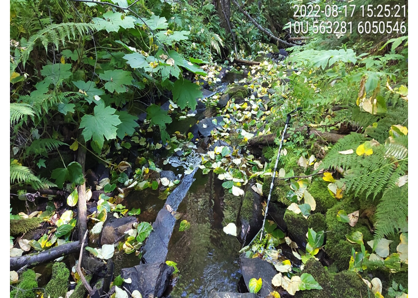 Typical habitat downstream of PSCIS crossing 125194.