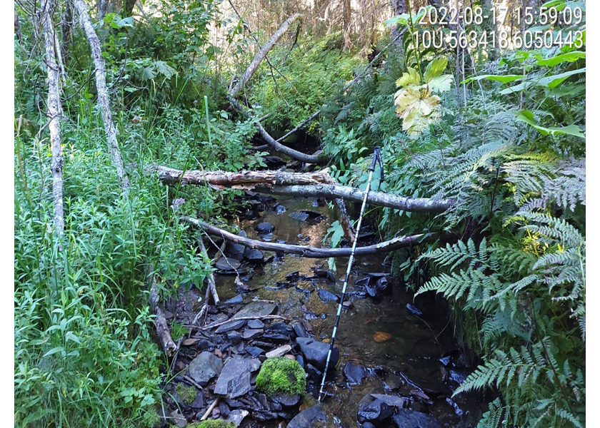 Example of typical stream substrate downstream of PSCIS crossing 125194.