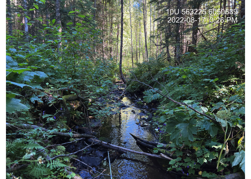 Typical habitat upstream of PSCIS crossing 125194.