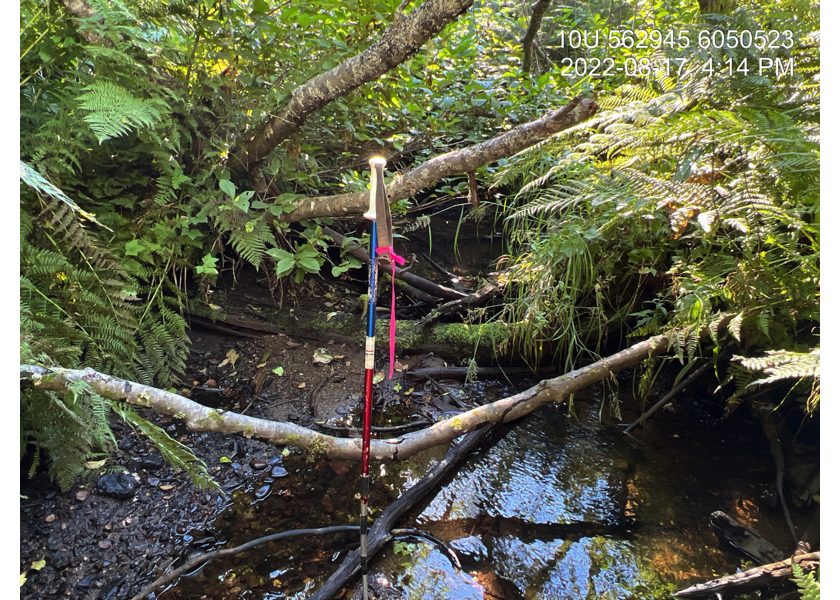 Typical habitat upstream of PSCIS crossing 125194.