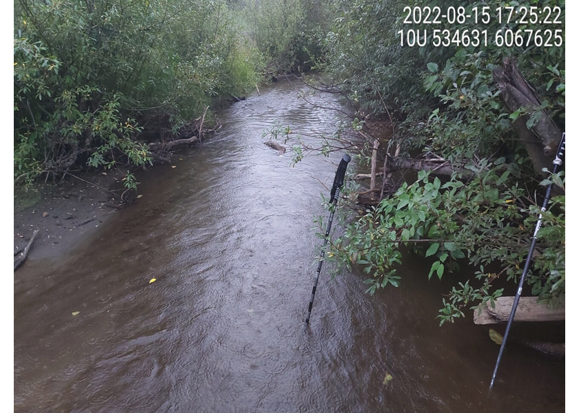 Habitat downstream of PSCIS crossing 125261.