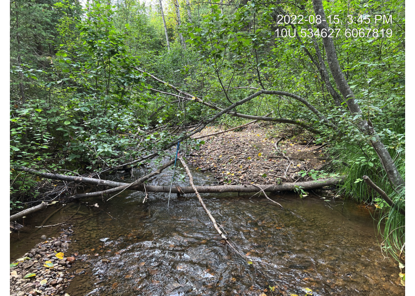 Habitat upstream of PSCIS crossing 125261.