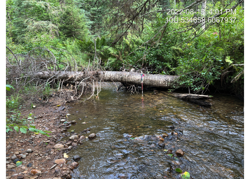 Habitat upstream of PSCIS crossing 125261.