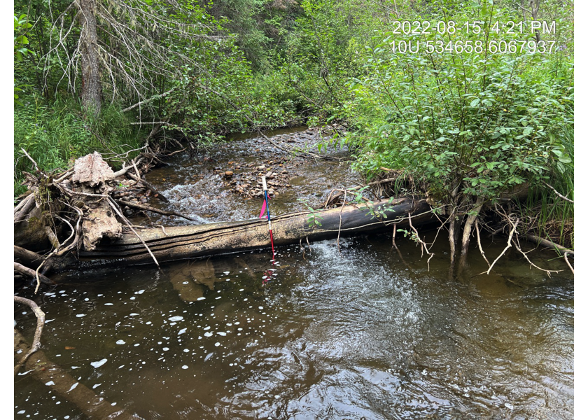 Deep pool and functional woody debris upstream of PSCIS crossing 125261.