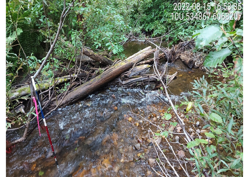 Habitat upstream of PSCIS crossing 125261.