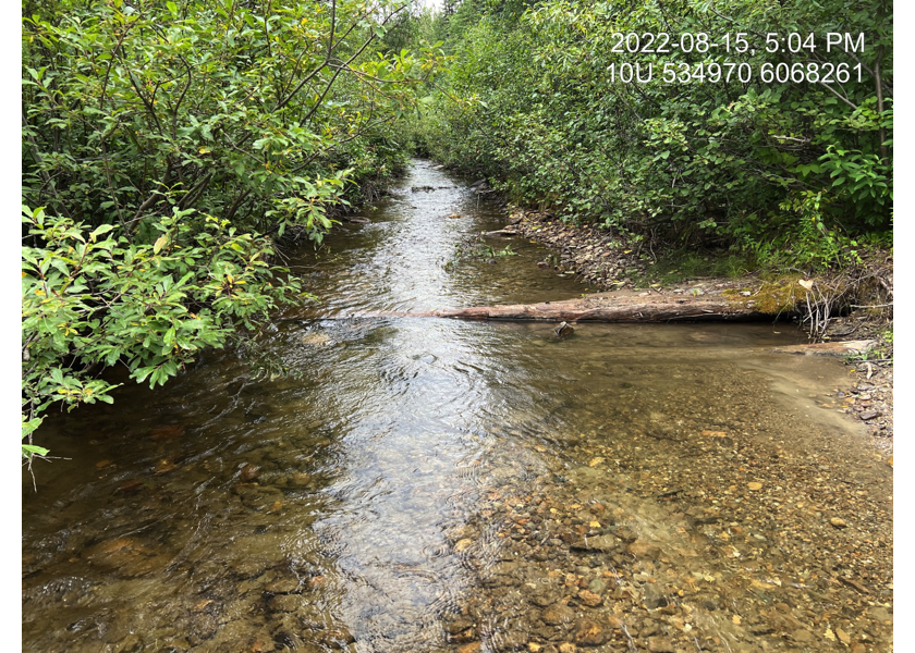 Downstream view at end of survey, at location of PSCIC crossing 198321.